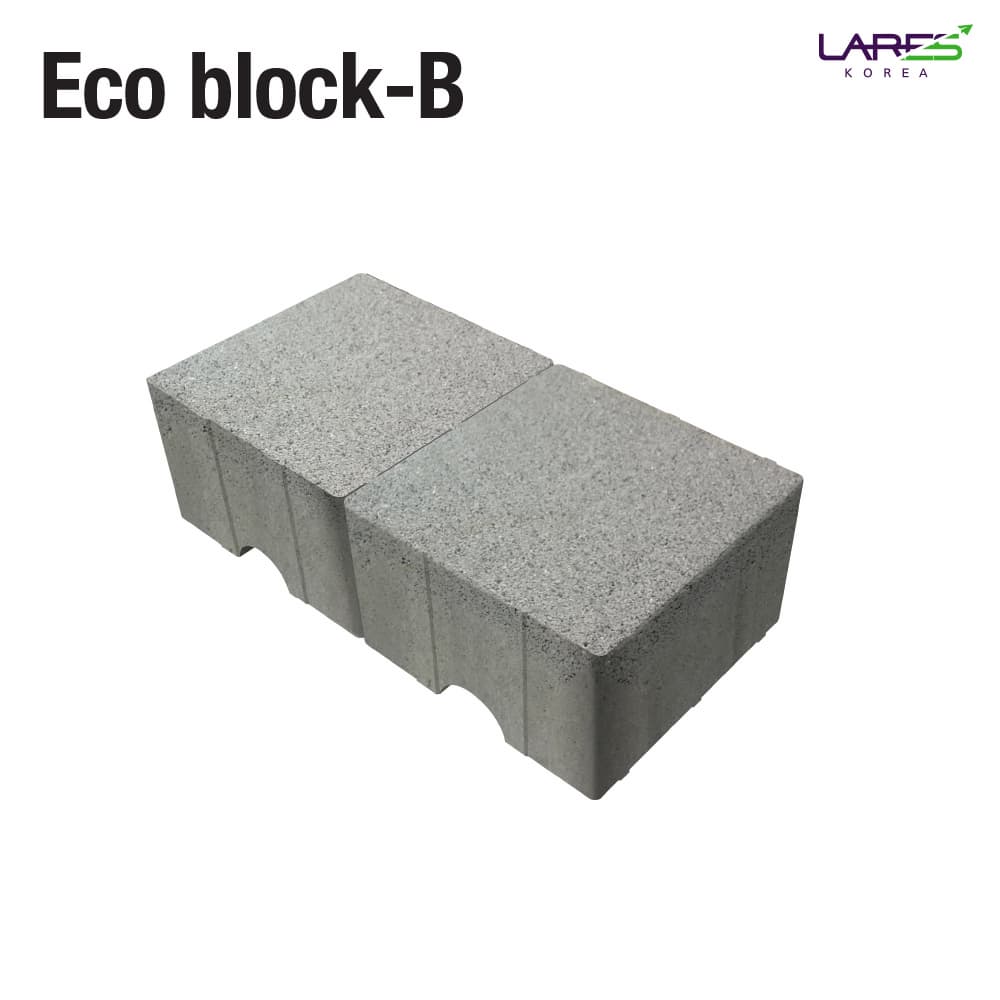 _Technology Transfer_ Eco_Friendly Interlocking block 2